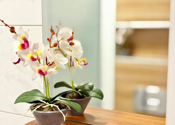 Charm 3 Апартамент Варна