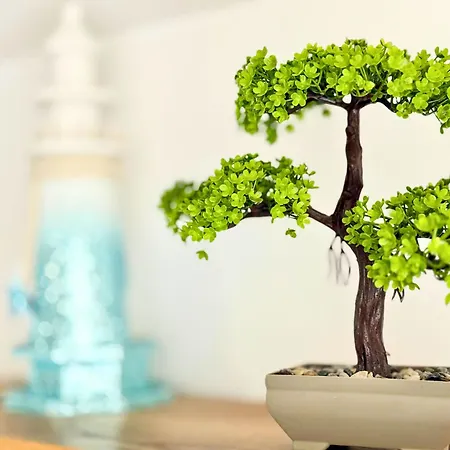 Apartment Charm 3 Varna