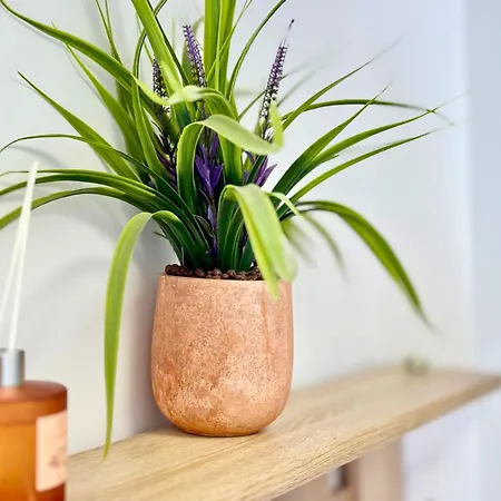 Apartment Charm 3 Varna