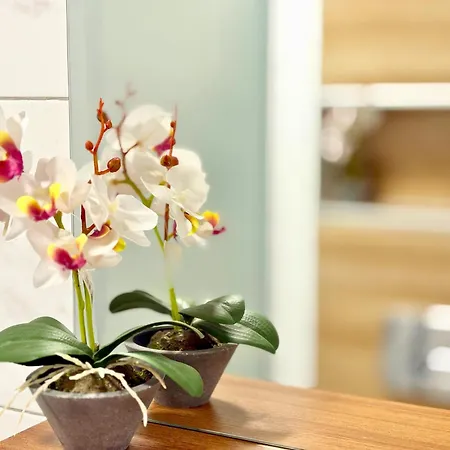 Charm 3 Apartment Varna