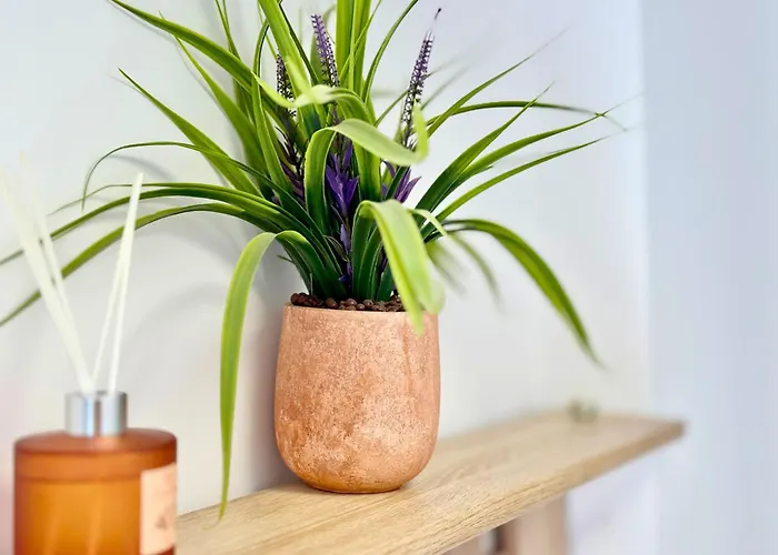 Apartment Charm 3 Varna