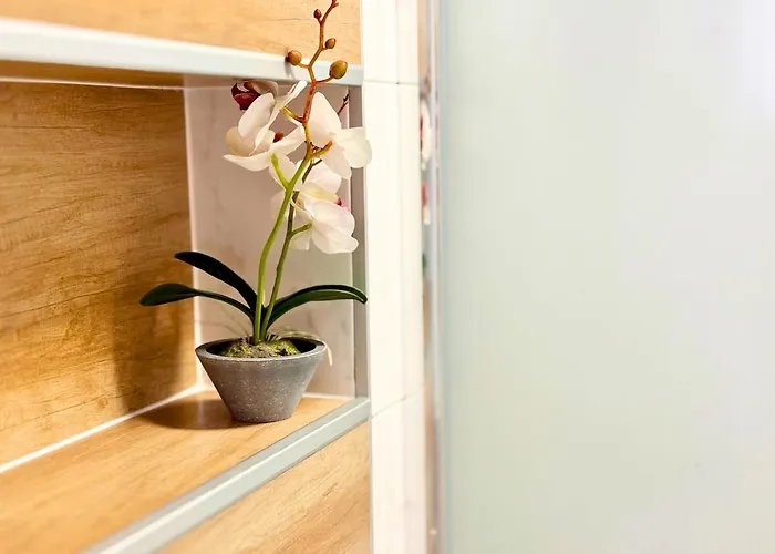 Charm 3 Apartment Varna